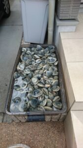 千葉県 船橋にての作業写真1