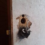 日野市 トイレ錠前故障の作業写真1